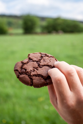 Brookies (par 2)
